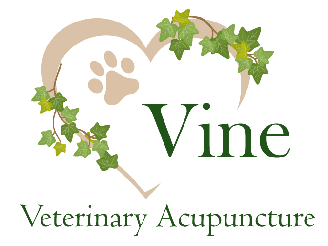 Vine Veterinary Acupuncture logo